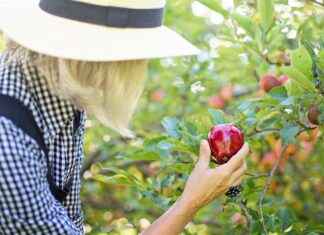 Apple TV Sports Streaming: Everything You Need to Know Apple TV Sports Streaming: Everything You Need to Know