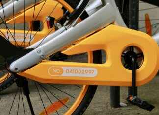 Are Electric Bike Rentals a Good Option for Tourists and Locals? Are Electric Bike Rentals a Good Option for Tourists and Locals?