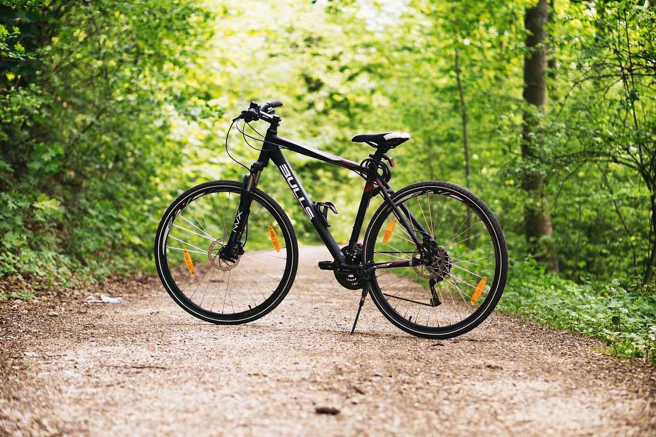 1. Understanding Electric Bike Rentals
