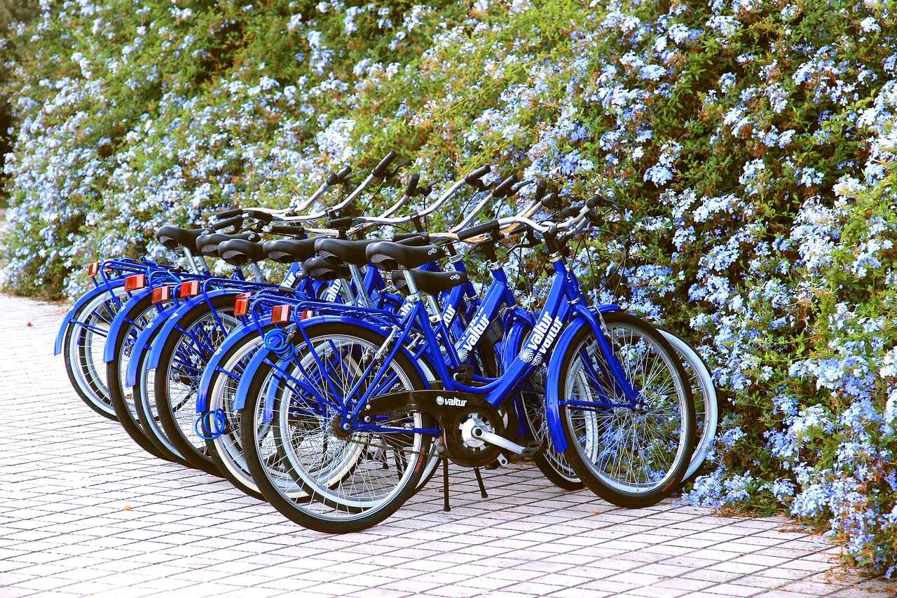 2. Benefits of Electric Bike Rentals for Tourists