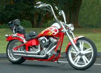 Are Electric Vegetable Choppers Better for Vegetables Like Carrots? Are Electric Vegetable Choppers Better for Vegetables Like Carrots?