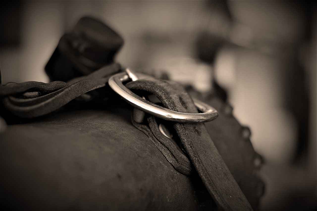 What Are Expert Opinions on AWD Honda Accords?