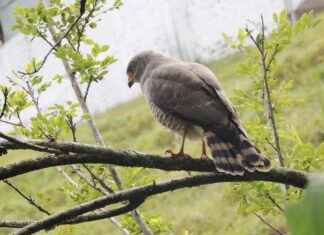 Are Portable Coffee Makers Worth It for the Avid Traveler? Are Portable Coffee Makers Worth It for the Avid Traveler?