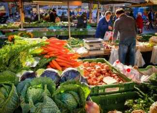 Are Vegetable Choppers Good for Cutting Hard Vegetables? Are Vegetable Choppers Good for Cutting Hard Vegetables?