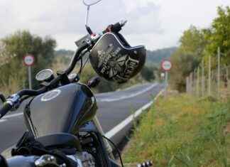 Are Vegetable Choppers Safe to Use? Here’s What You Need to Know Are Vegetable Choppers Safe to Use? Here’s What You Need to Know