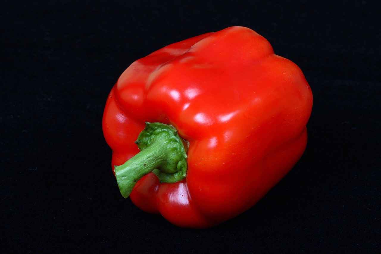Understanding Vegetable Chopper Designs