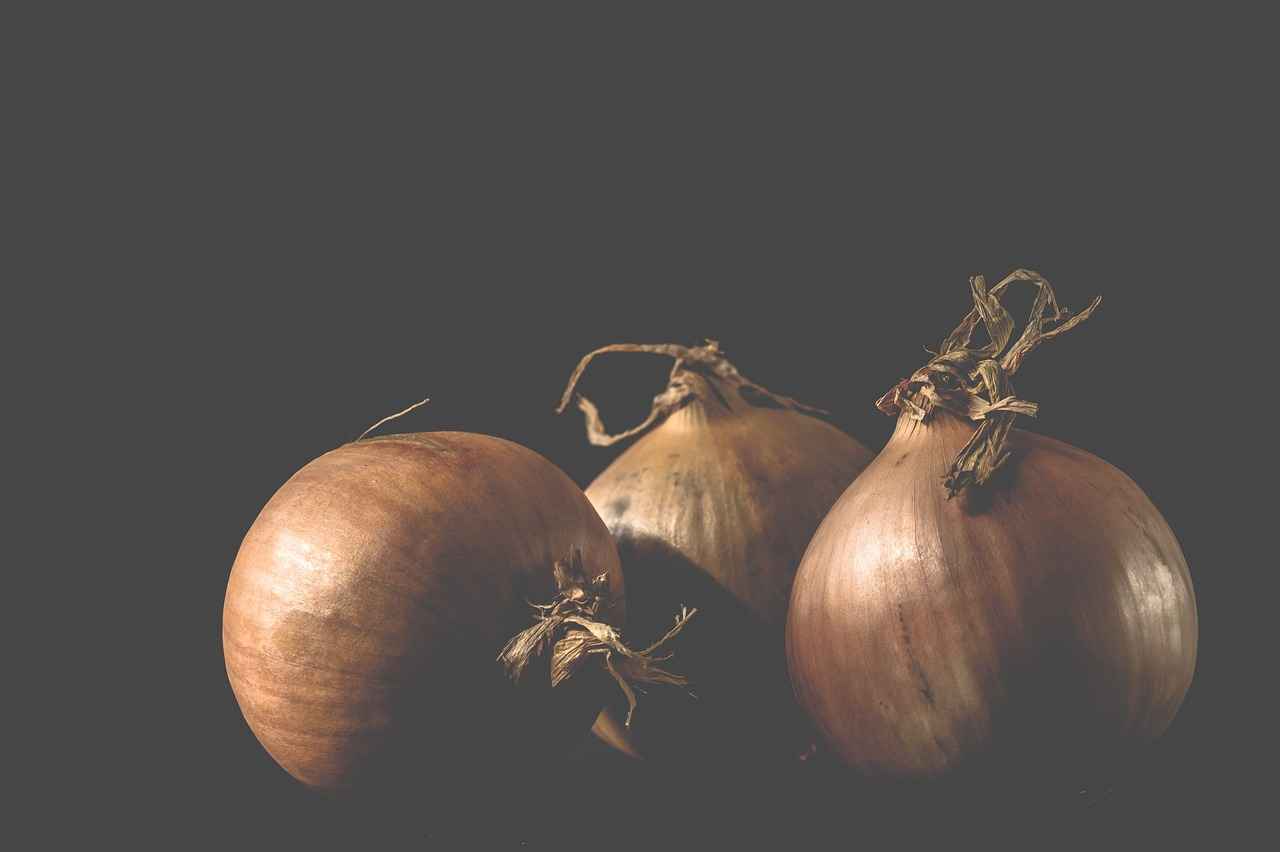 Common Safety Concerns with Vegetable Choppers