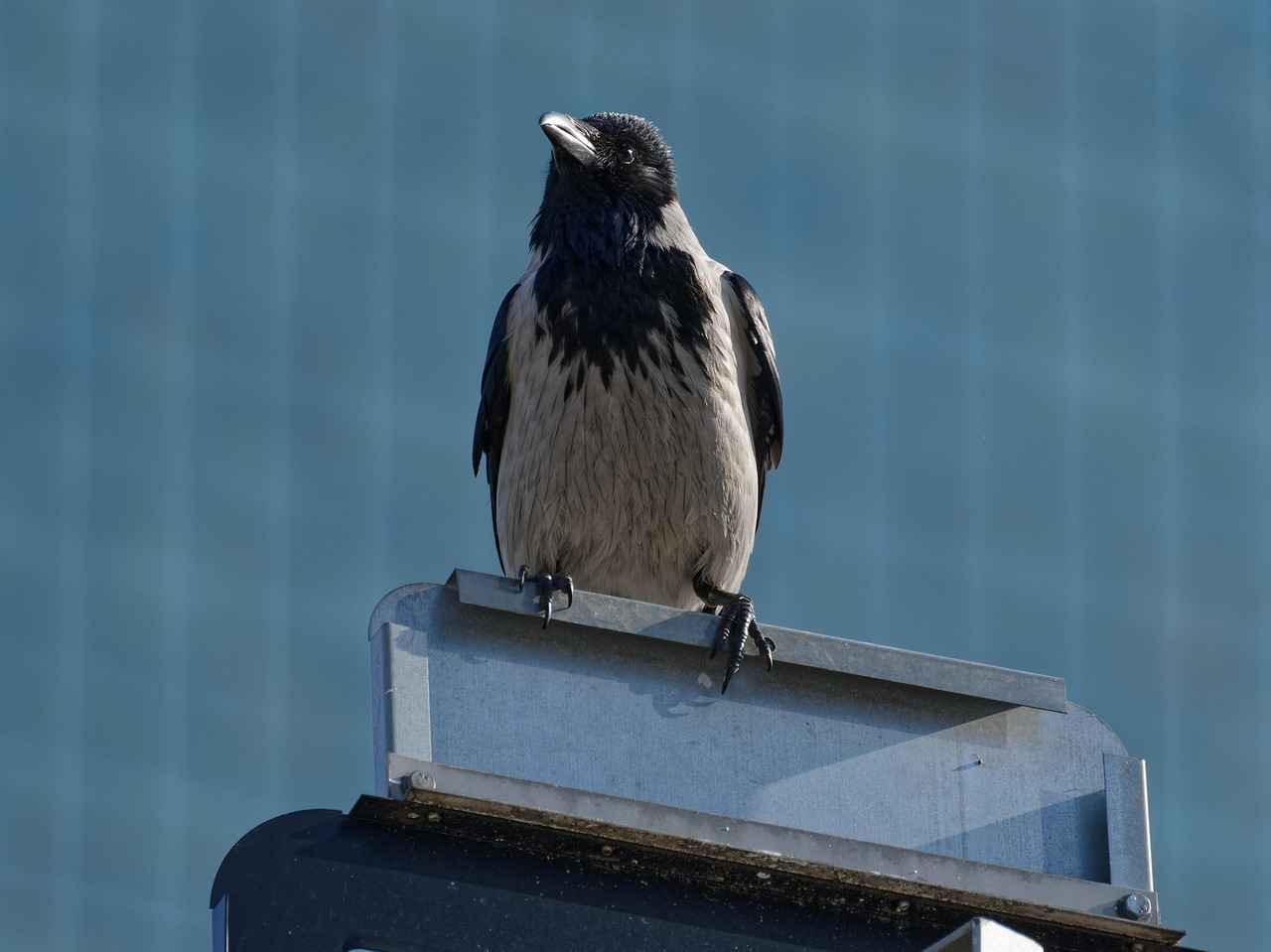 What Resources Are Available for Affected Policyholders?