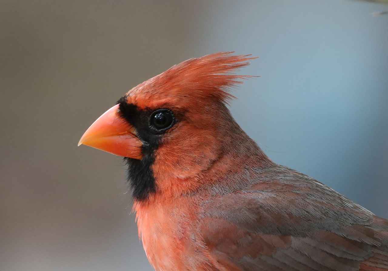 Defensive Standouts: Key Defensive Players