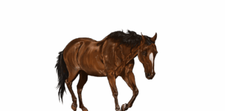 ArtofZio: The Digital Artist Behind Viral Concept Art ArtofZio: The Digital Artist Behind Viral Concept Art