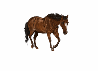 ArtofZio: The Digital Artist Behind Viral Concept Art ArtofZio: The Digital Artist Behind Viral Concept Art