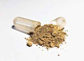 Ashwagandha: The Natural Stress Reliever You Need Ashwagandha: The Natural Stress Reliever You Need