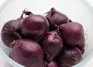 Astaxanthin: The King of Antioxidants for Skin and Eye Health Astaxanthin: The King of Antioxidants for Skin and Eye Health