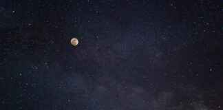 Astrologer Bot on Discord: Your Personalized Horoscope AI Astrologer Bot on Discord: Your Personalized Horoscope AI