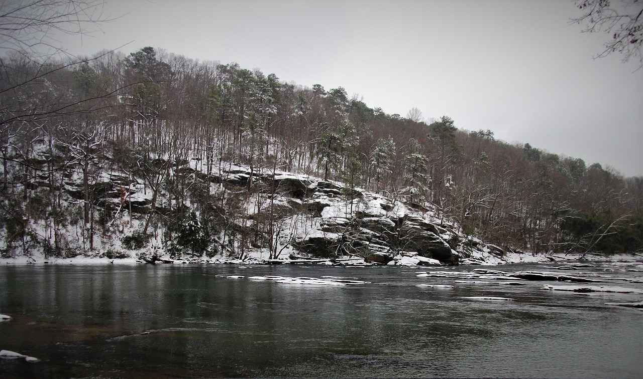 Atlanta Braves vs Mets Match Player Stats 10 Fan Reactions and Attendance Insights