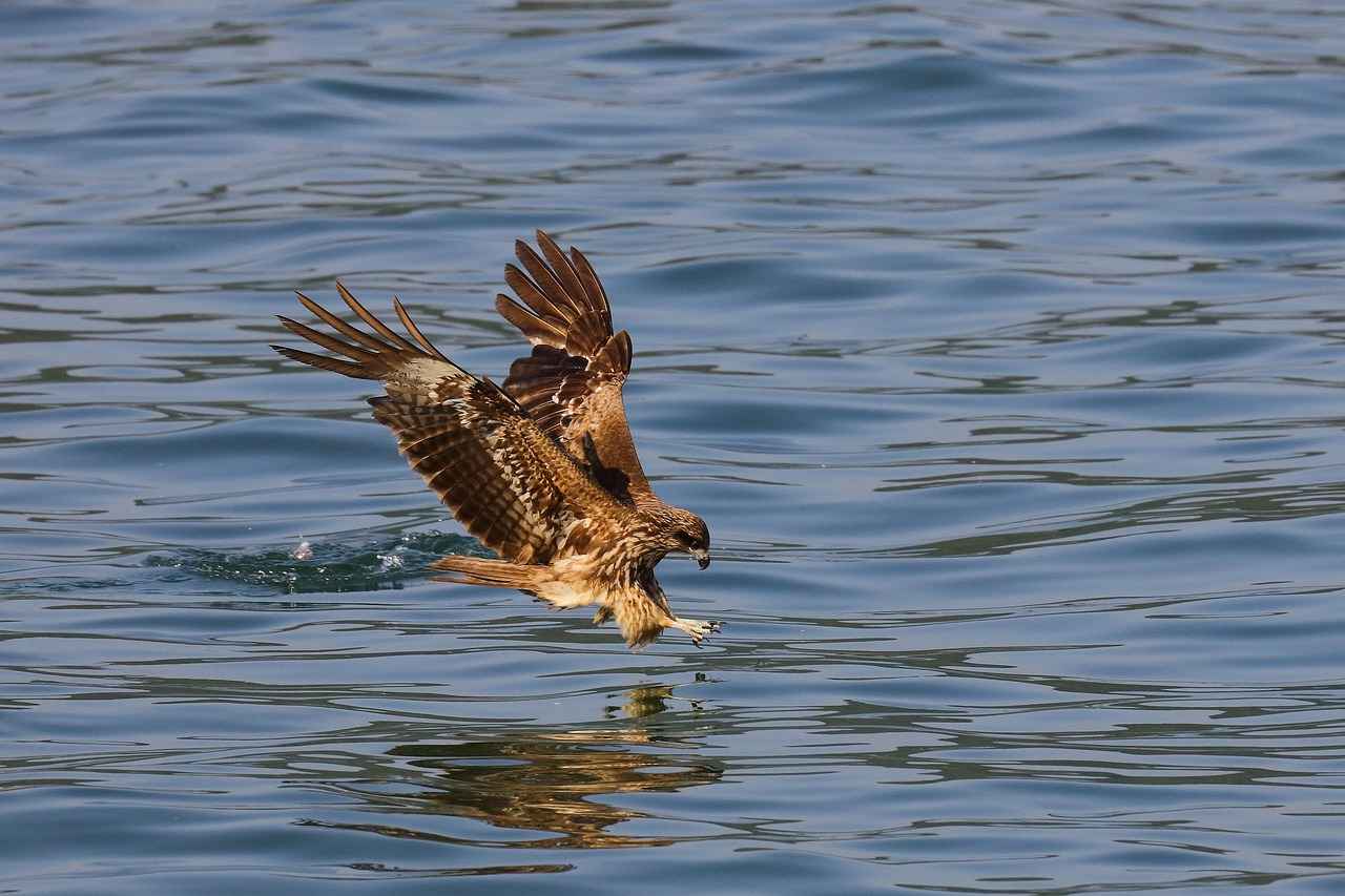 Atlanta Falcons vs Washington Commanders Match Player Stats 5 Special Teams Impact