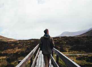 Back to School Movies for Kids: Fun Films for the Start of the Year Back to School Movies for Kids: Fun Films for the Start of the Year