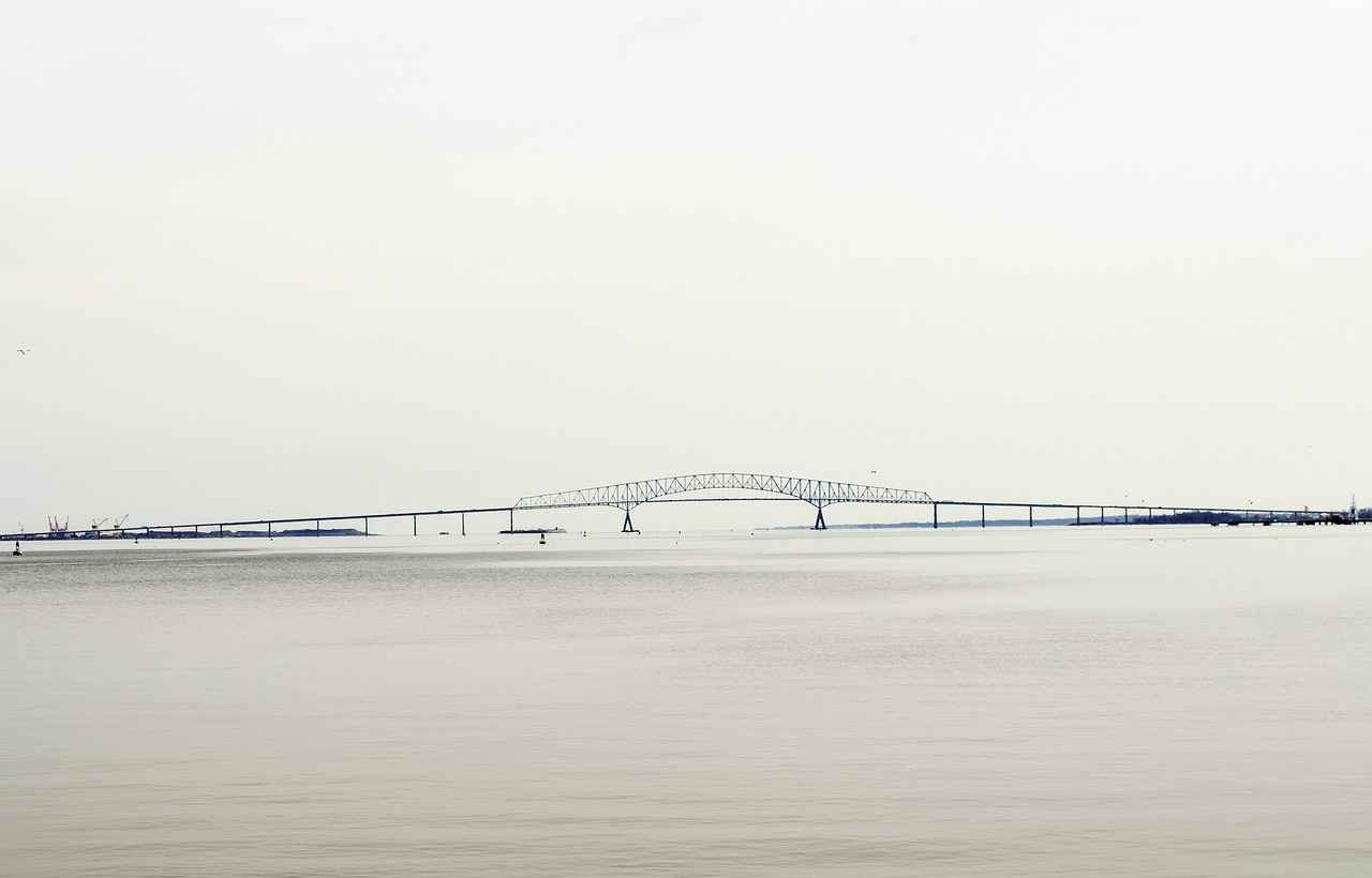 Baltimore Orioles vs Yankees Match Player Stats 1 Overview of the Baltimore Orioles