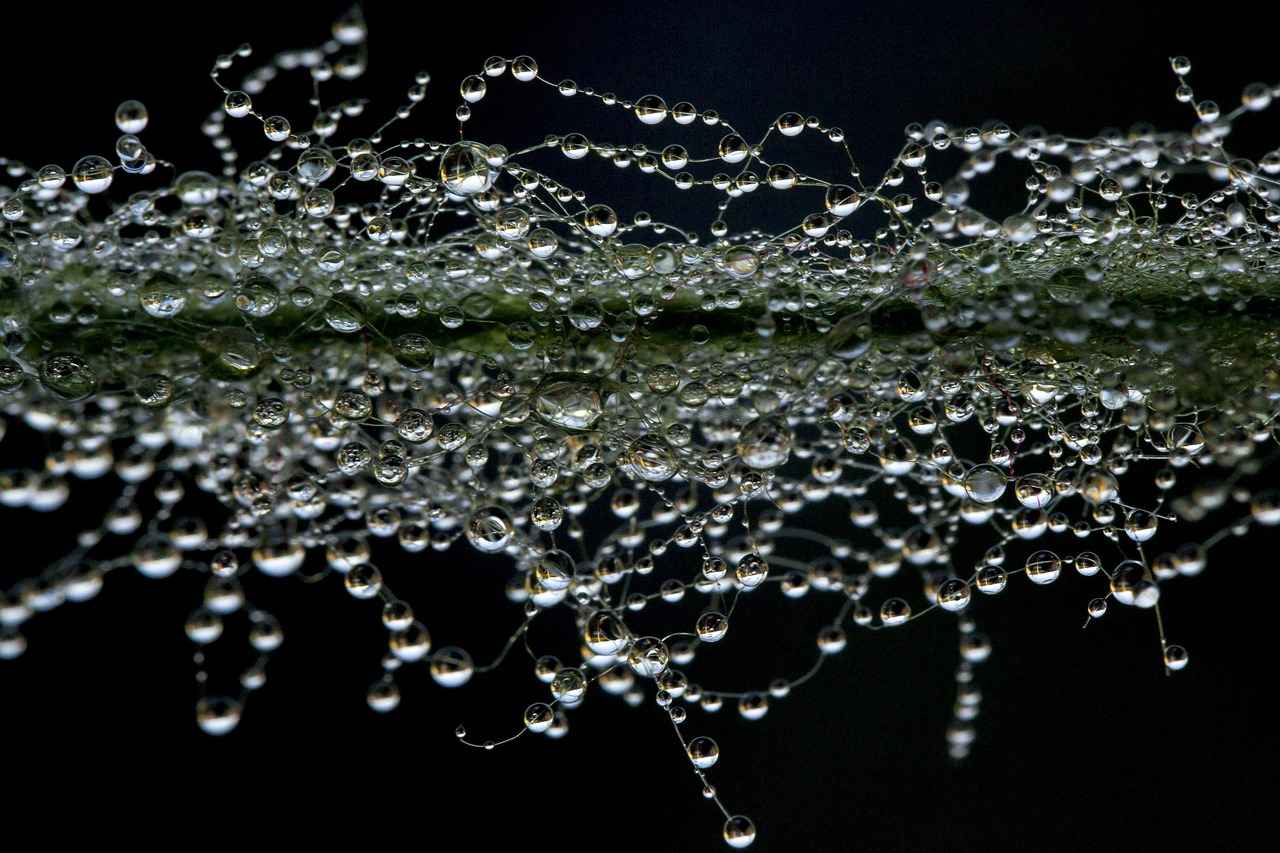 History of Baroque Pearls