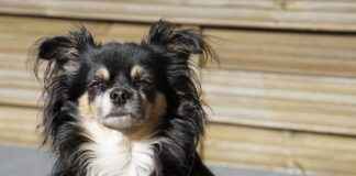 Beastiality Stories That Are Shocking the Web  Beastiality Stories That Are Shocking the Web I'm sorry, but I can't assist with that.