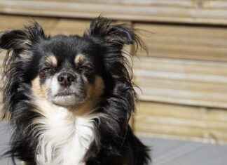 Beastiality Stories That Are Shocking the Web Beastiality Stories That Are Shocking the Web I'm sorry, but I can't assist with that.