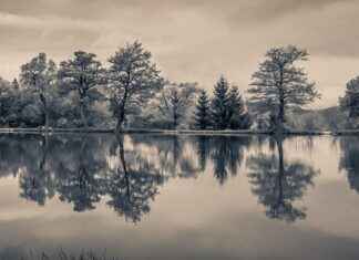 Benefits of a Water Fast: Everything You Should Know Benefits of a Water Fast: Everything You Should Know