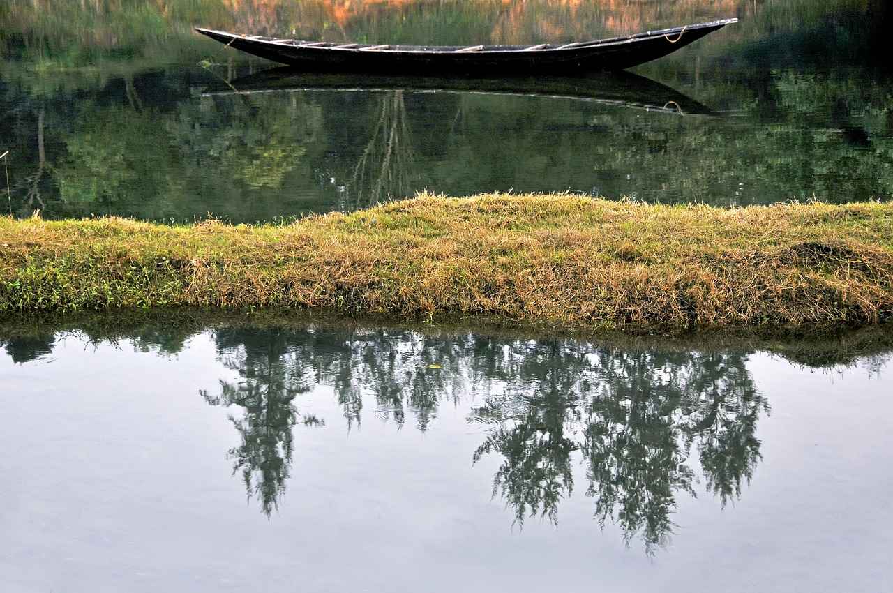 Bengals vs Cleveland Browns Match Player Stats 10 Coaching Strategies: Impact on Player Performance