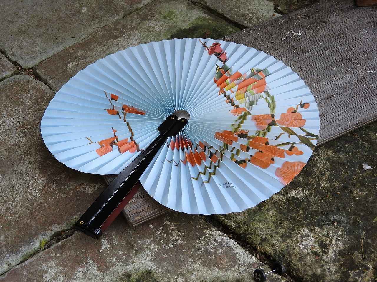 Fan Reactions and Engagement