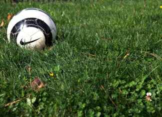 Bengals vs New York Giants Match Player Stats Bengals vs New York Giants Match Player Stats