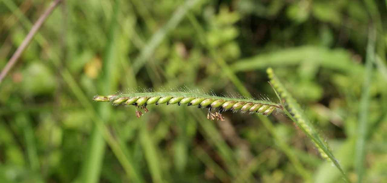 Maintenance Tips for Your 12V Coffee Maker