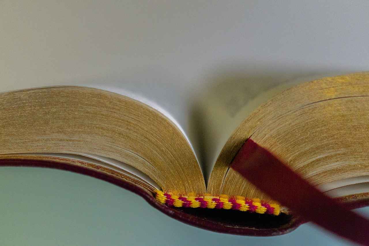 Best Acoustic Room Dividers vs. Soundproof Panels: Do They Work? 9 What Are the Best Acoustic Room Dividers on the Market?