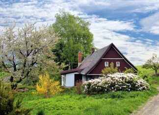 Best Alexa Smart Home Devices to Simplify Your Life Best Alexa Smart Home Devices to Simplify Your Life