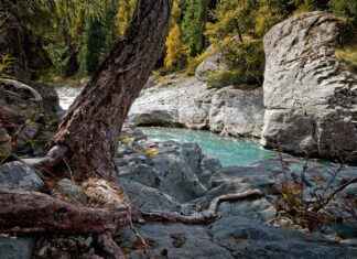 Best Apps for Streaming Live Sports on iPhone & Android Best Apps for Streaming Live Sports on iPhone & Android