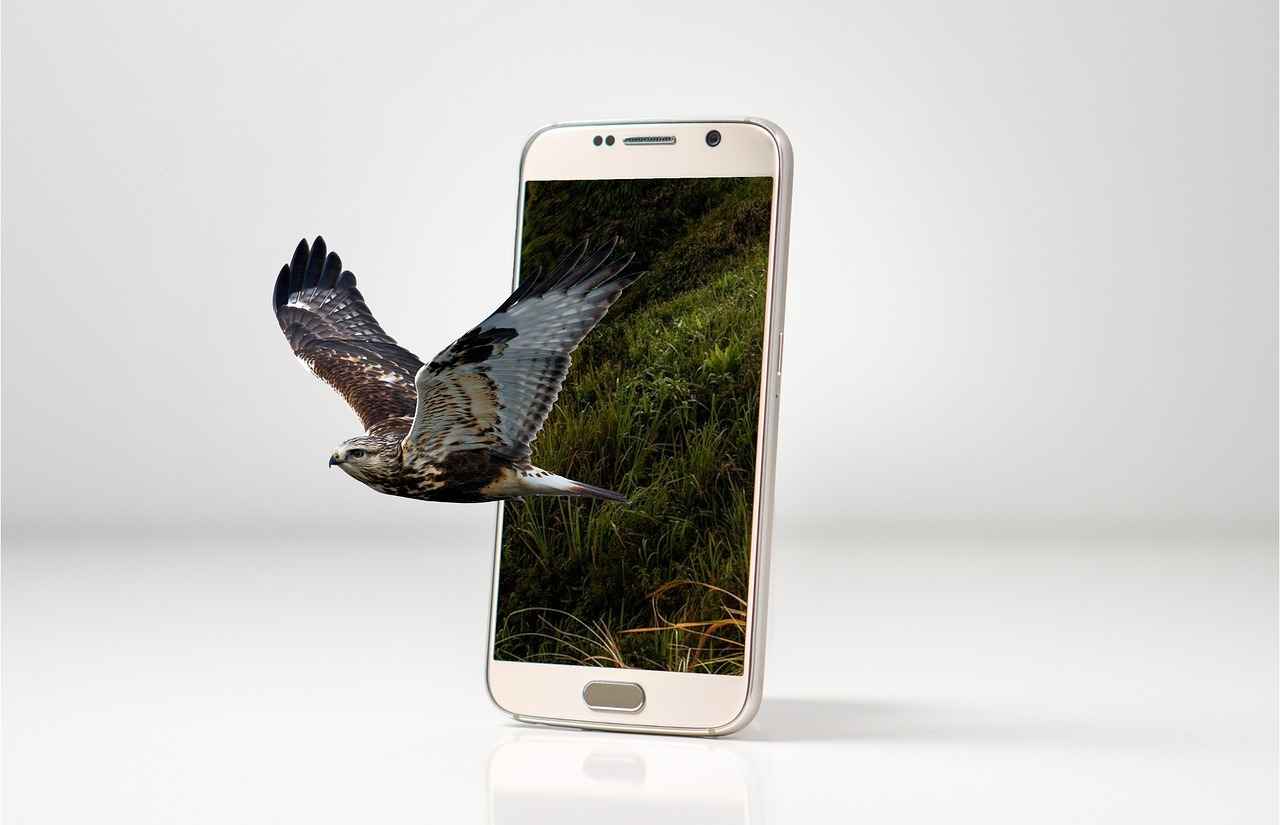 Maintaining Your Automatic Phone Holder