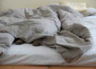 Best Bed Design 2023: Explore New and Trending Styles Best Bed Design 2023: Explore New and Trending Styles