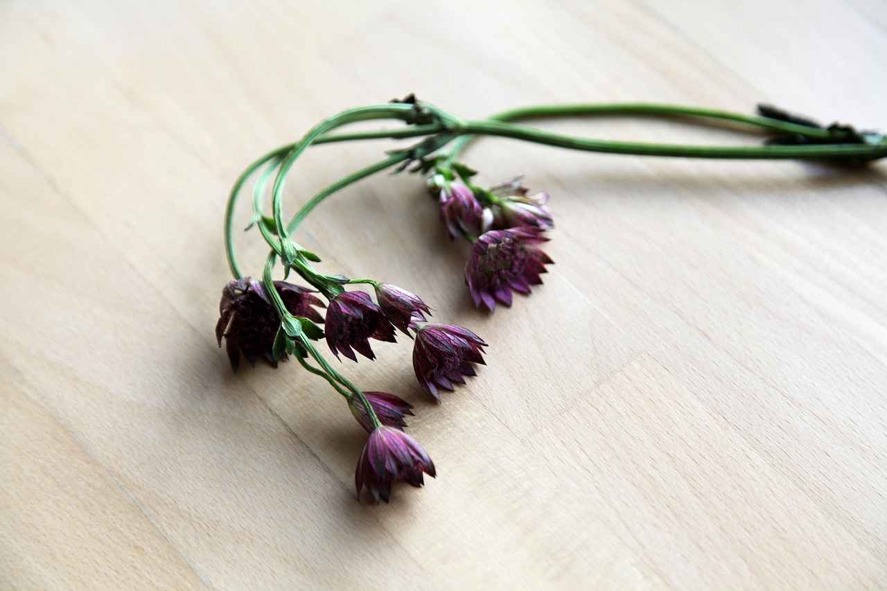 1. The Rise of Minimalist Bed Designs