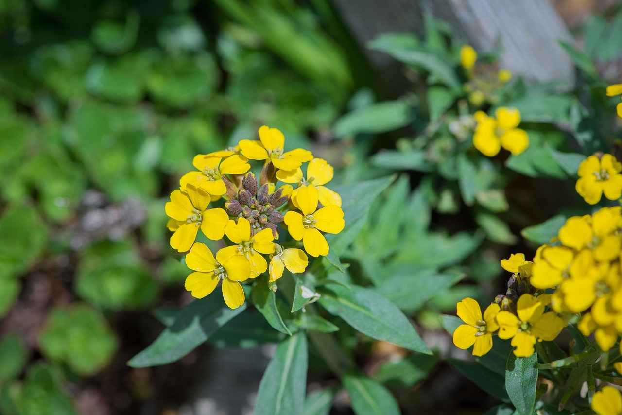 Best Bed Headboard Cushion Design Ideas for Ultimate Comfort 2 Popular Materials for Headboard Cushions