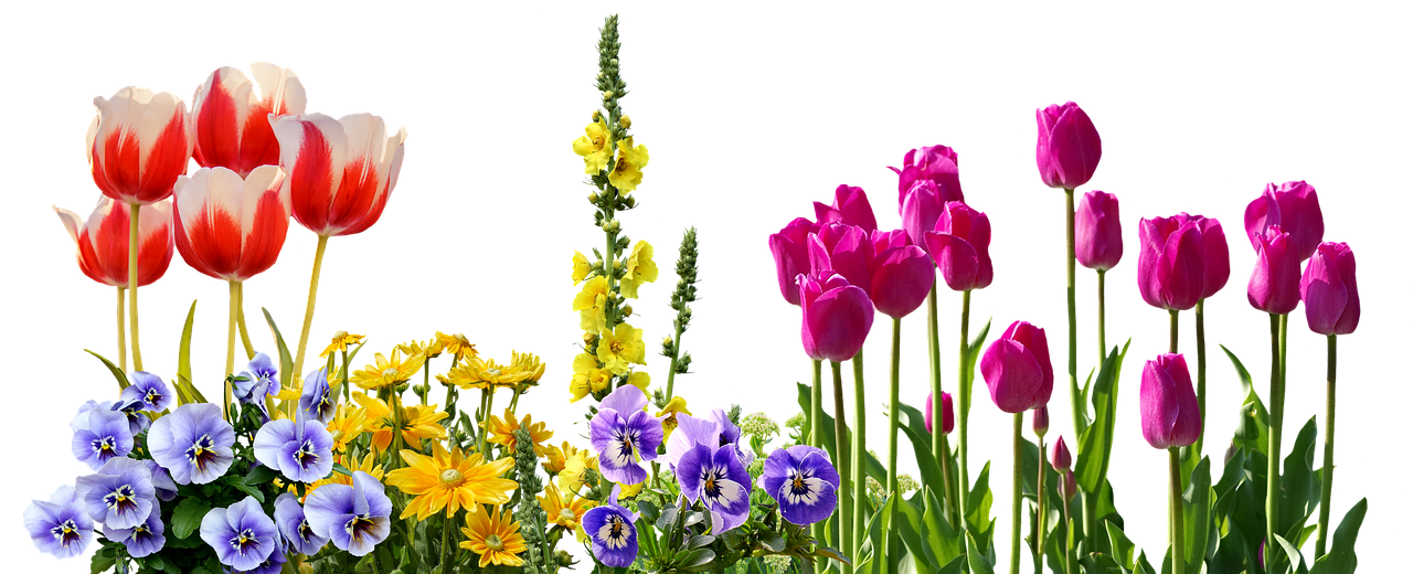 Choosing the Right Fabric