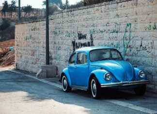 Best Cup Phone Holder for Your Car Best Cup Phone Holder for Your Car