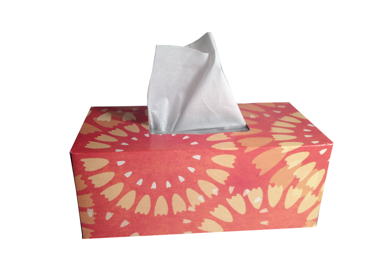 Best Disposable Vapes of 2025: Top Picks for Every Budget 9 Where to Buy the Best Disposable Vapes