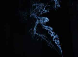 Best Disposable Vapes with the Longest Battery Life Best Disposable Vapes with the Longest Battery Life