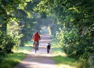 Best E-Bike Conversion Kits to Upgrade Your Bike in Minutes Best E-Bike Conversion Kits to Upgrade Your Bike in Minutes