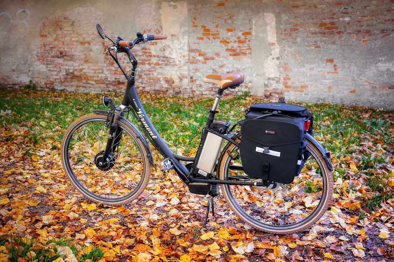 Benefits of Converting Your Bike to an E-Bike