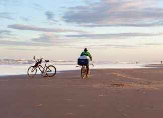 Best Electric Bikes for City Commutes in Busy Areas Best Electric Bikes for City Commutes in Busy Areas