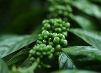 Best Electric Portable Coffee Makers That Make Brewing Simple Best Electric Portable Coffee Makers That Make Brewing Simple