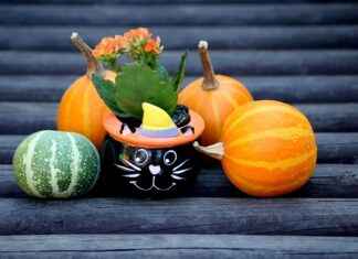 Best Halloween Movies for Kids That Will Give Them Goosebumps Best Halloween Movies for Kids That Will Give Them Goosebumps