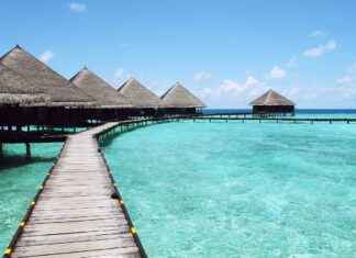 Best Holiday Movies for Kids: Seasonal Films for the Whole Family Best Holiday Movies for Kids: Seasonal Films for the Whole Family