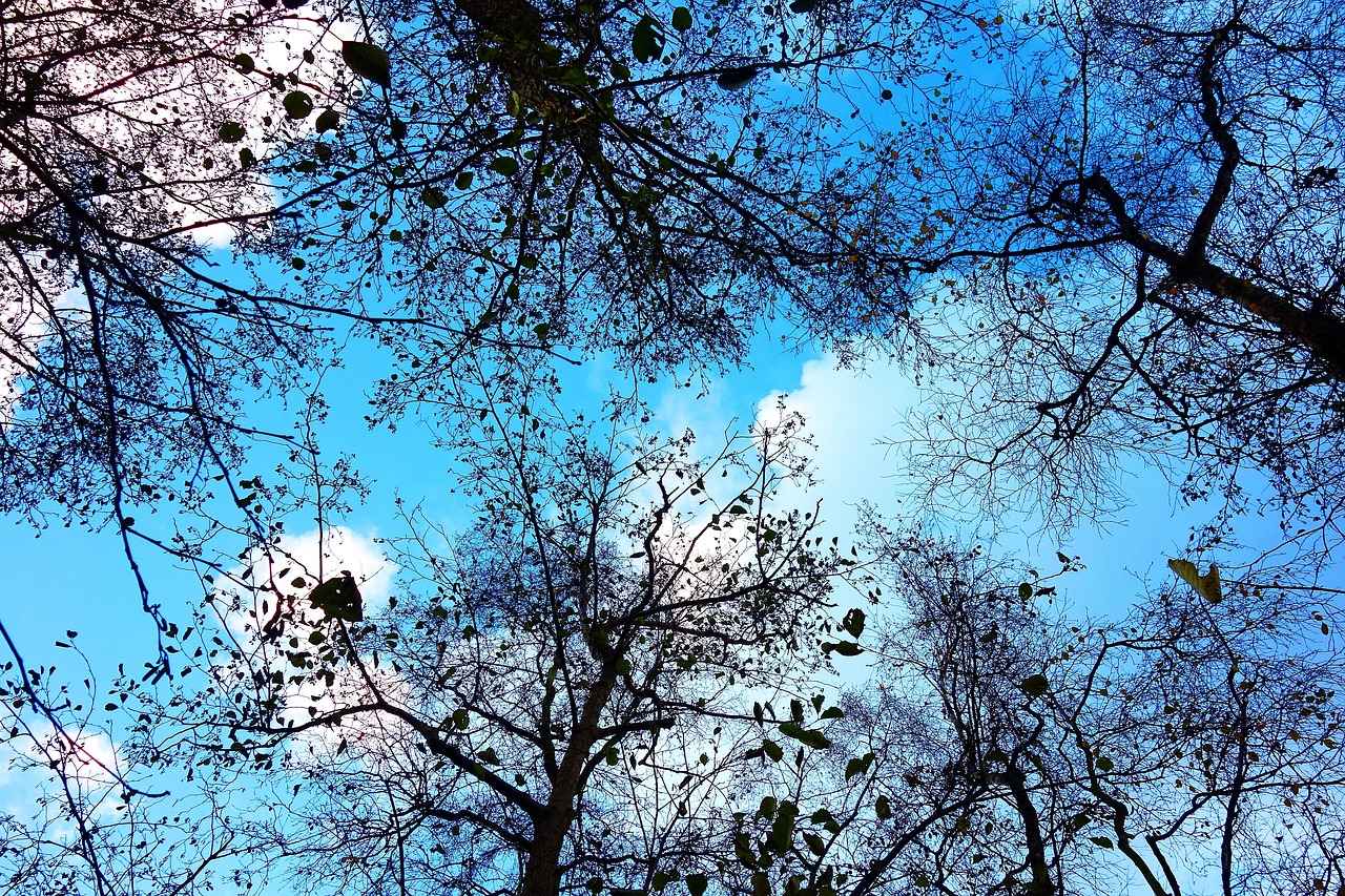 Conclusion: Marvel Movies as Family Entertainment