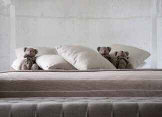 Best Modern Single Bed Design Trends for Compact Bedrooms Best Modern Single Bed Design Trends for Compact Bedrooms