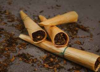 Best Nicotine-Free Vapes: Top Picks for 2025 Best Nicotine-Free Vapes: Top Picks for 2025